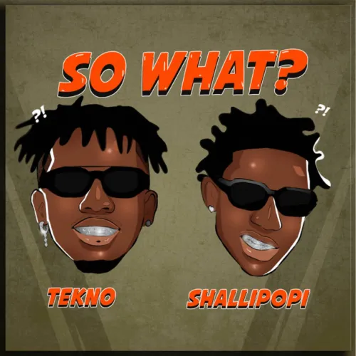 Tekno – So What? (feat. Shallipopi)