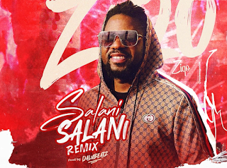 Ziqo – SALANI SALANI (Remix)