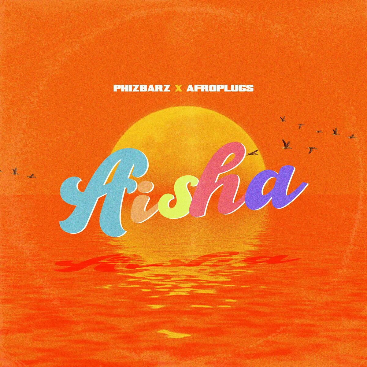 Phizbarz  Afroplugs  – Aisha
