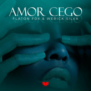 DJ Flaton Fox & Werick Silva - Amor Cego