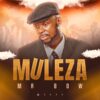 Mr Bow – Muleza